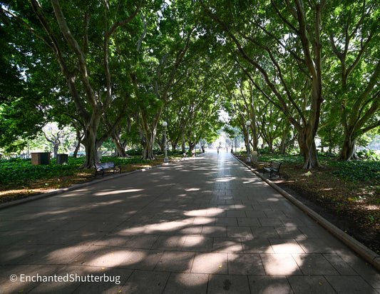 Stroll down the lane